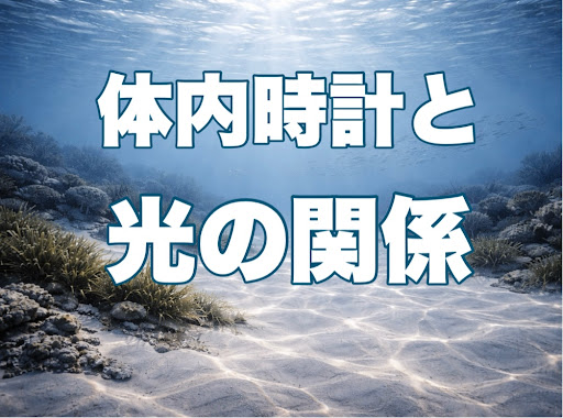 海水魚の睡眠不足は寿命を縮める？―体内時計と光の関係