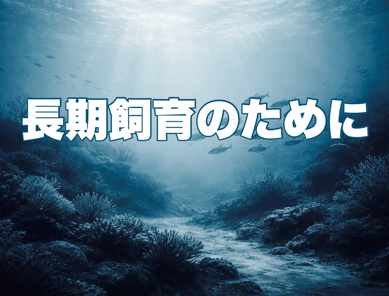 海水魚水槽の水温設定について ―長期飼育のために―