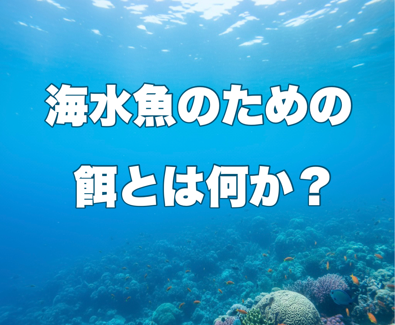 海水魚のための餌とはなにか？