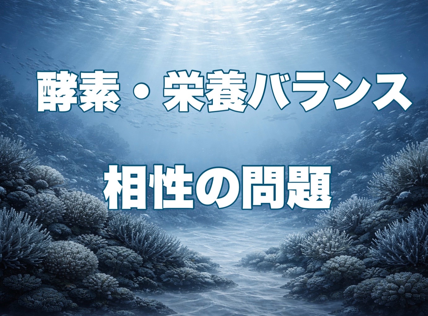 冷凍餌加工に伴うリスクⅡ